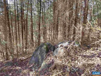 Lot 27 Guildford Farm Rd, Monroe, VA 22968 - photo 5