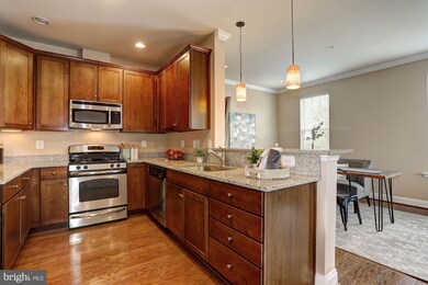 7662 Maple Lawn Blvd unit 25, Fulton, MD 20759 - photo 4