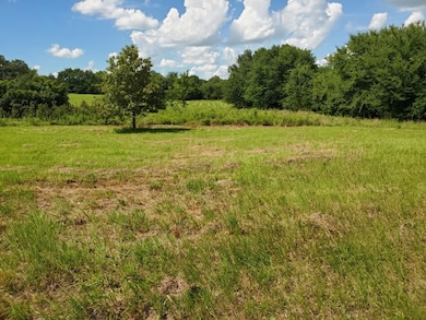 View of woods featuring a view of rural / pastoral area