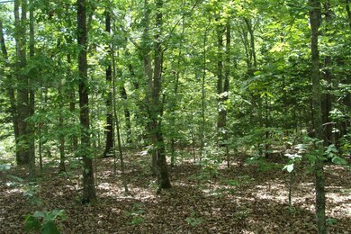 0 Highway F unit 20045509, Rolla, MO 65401 - photo 3