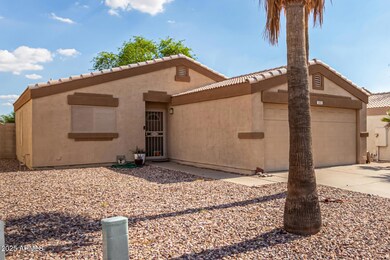 06-Mesquite