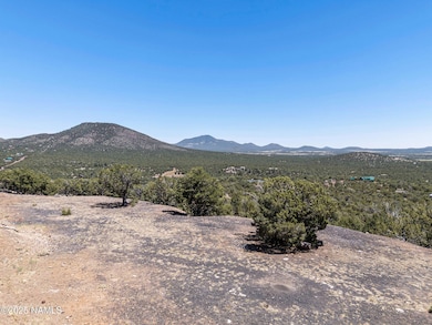 1330 Painted Pony Ln, Williams, AZ 86046 - photo 7