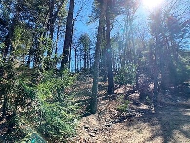 11 Belknap Rd, Medfield, MA 02052 - photo 4