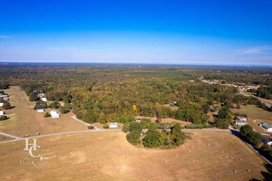 Aeronca Rd, Pelzer, SC 29669 - photo 2