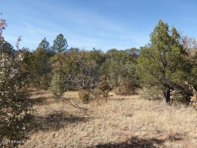2 View looking west towards forest svc l