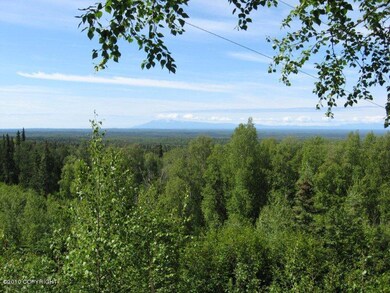 Susitna Valley View