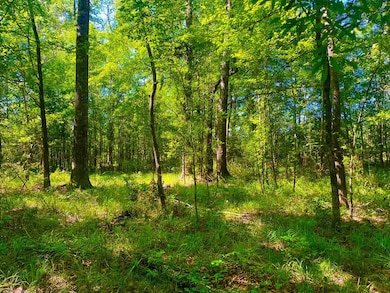 TBD Lewis Ln, Gloster, MS 39638 - photo 2