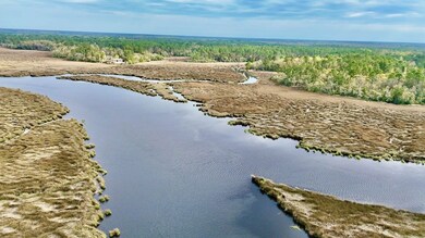 US Highway 17 unit Sanderling Trace, Waverly, GA 31565 - photo 3