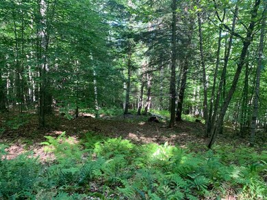 00 Farr Rd, Saint Johnsbury, VT 05819 - photo 3