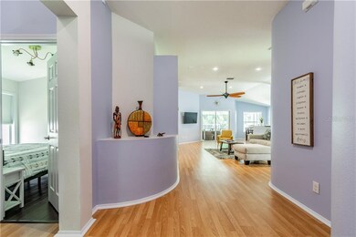 339 Tavernier Dr, Oldsmar, FL 34677 - photo 3