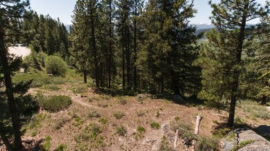 Wooded