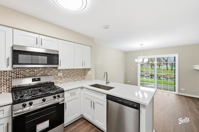 728 Old Checker Rd unit C4, Buffalo Grove, IL 60089 - photo 4