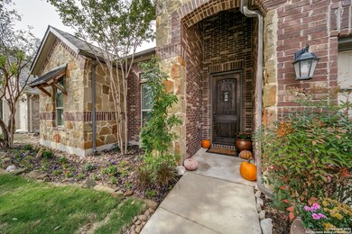 25535 Veining Way, San Antonio, TX 78261 - photo 3