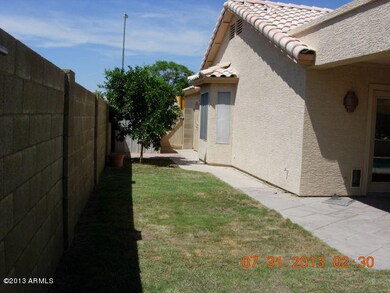 WestSide Yard w/ OrangeTree