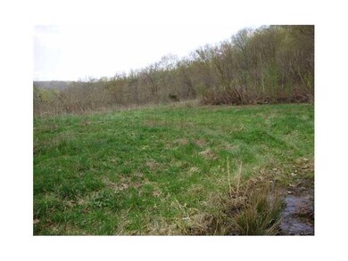 Land. possible level home site on property