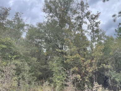 2839 Highview Cir, Chipley, FL 32428 - photo 7