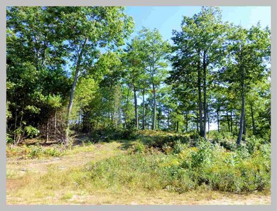 Lot #11 Point of View Dr, Plymouth, NH 03264 - photo 5