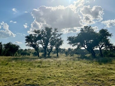 Lot 25 Badger Ridge Rd unit 25, Fredericksburg, TX 78624 - photo 5