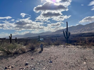 073 W Sierra Ancha Way, Tonto Basin, AZ 85553 - photo 5