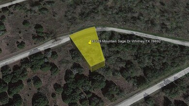 43129 Mountain Sage Dr, Whitney, TX 76692 - photo 3