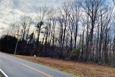 9.98 ac Mocksville Hwy, Statesville, NC 28625 - photo 4