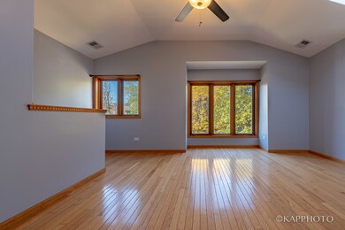 741 S Claremont Ave unit 3, Chicago, IL 60612 - photo 3