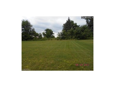 This is a view of your back yard.  It is a large y