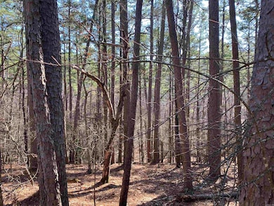 16 Hillside Trail, Mount Ida, AR 71957 - photo 2