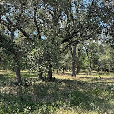 2477 W Highway 159, La Grange, TX 78945 - photo 5