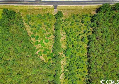 TBD Jasmine Rd, Loris, SC 29569 - photo 3