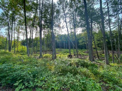 00 Hill Rd unit M:12 B10 L:B, Alstead, NH 03602 - photo 4