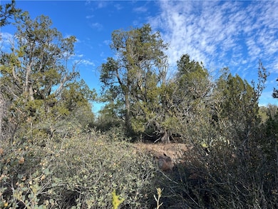 Lots of Juniper and Pinyon Pine trees