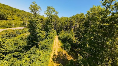 Lot #2 Rte 209 Main Rd, Phippsburg, ME 04562 - photo 4