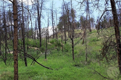 Deer Lane Lot: Eh-13, Roundup, MT 59072 - photo 5