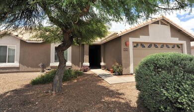 Shady Front Yard