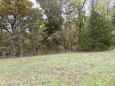 24215 Songbird Ln, Osage Township, MO 65011 - photo 5