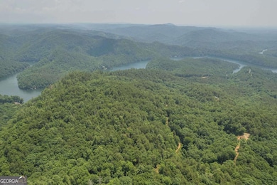 31 Yonah Lake Rd, Toccoa, GA 30577 - photo 6