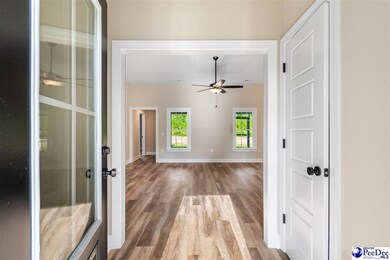 498 Cane Branch Rd, Loris, SC 29569 - photo 3