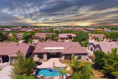 Lush Backyard