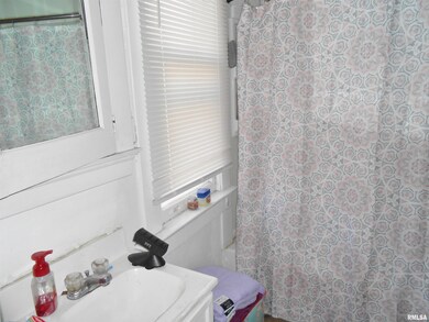 1730 1/2 W 9th St, Davenport, IA 52804 - photo 6