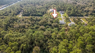 0 32nd Ave SE unit 225082220, Naples, FL 34117 - photo 3