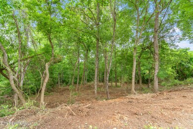 20-web-or-mls-Lot 51 Orchard Knob