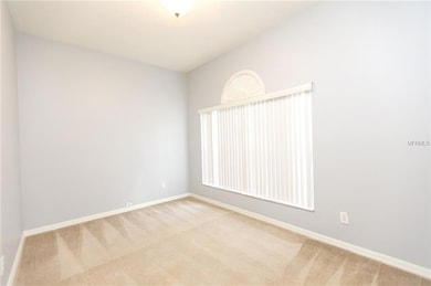 3603 Olde Lanark Dr, Land O Lakes, FL 34638 - photo 5