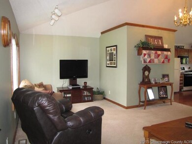 201 E Main St, Camargo, IL 61919 - photo 2