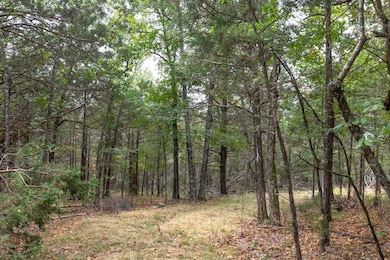 125 Way, Protem, MO 65733 - photo 2