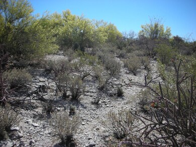 0 E Vía Alcalde unit 2 21211389, Catalina Foothills, AZ 85718 - photo 6