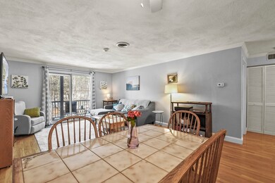 232 Canton St unit 201, Randolph, MA 02368 - photo 7