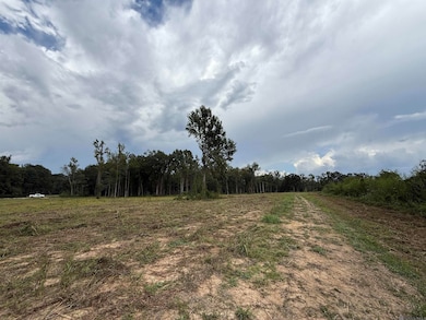 6-Z-1-D Pertuis Rd, Saint Amant, LA 70774 - photo 3