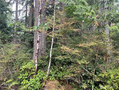 2 XX View Dr NE, Poulsbo, WA 98370 - photo 3