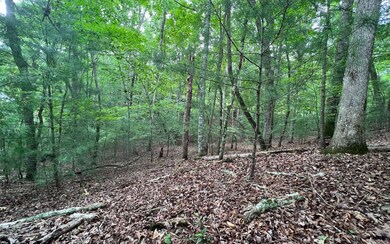 Additional View